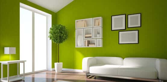 Best Interior Green Wall Paint image