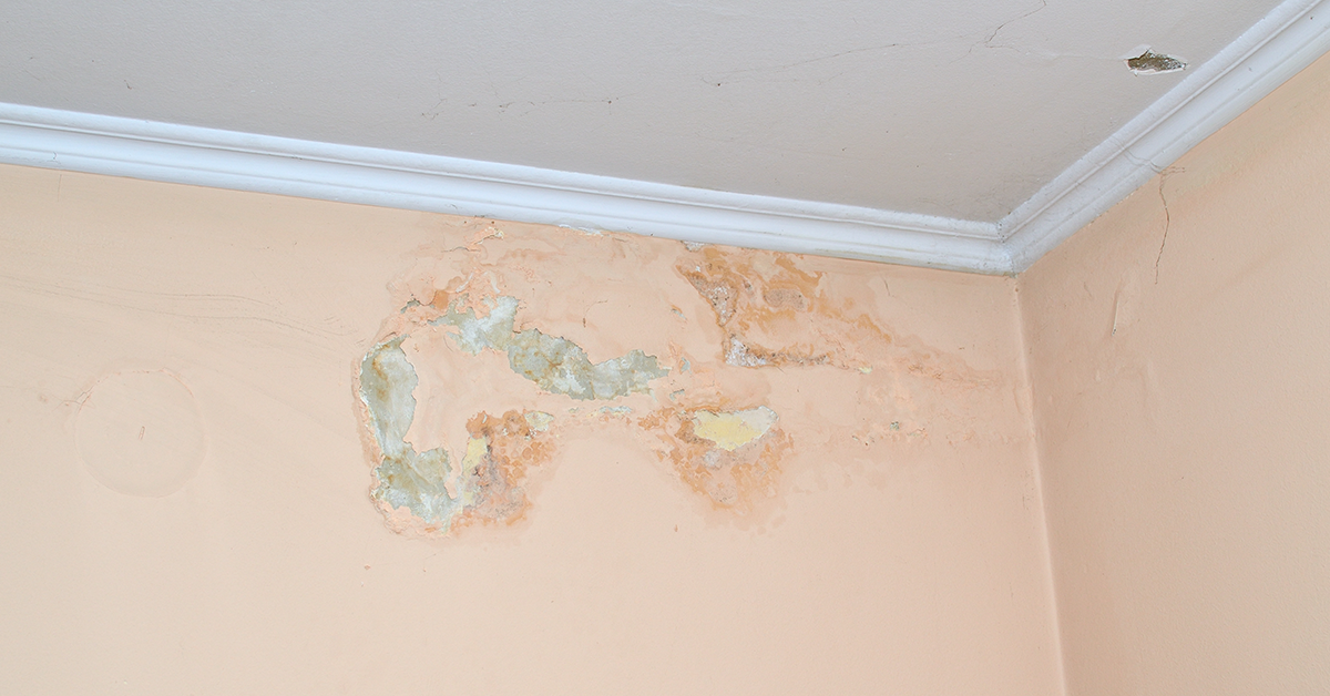 Wall Dampness issue | Berger Paints
