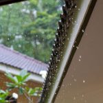 Home Waterproofing