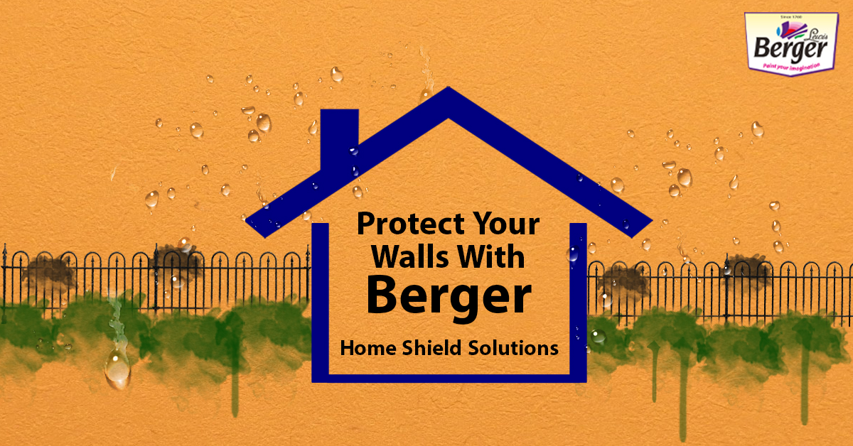Protect Your Home Walls