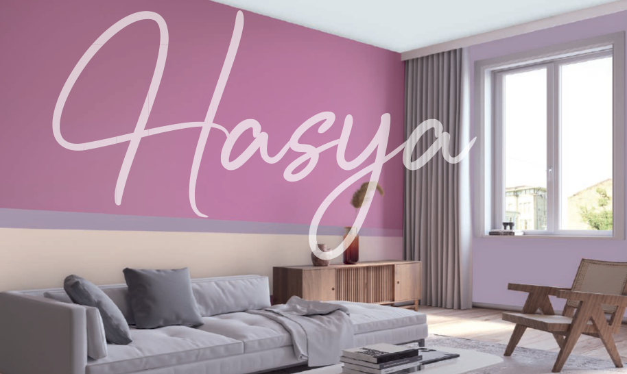 Hasya, pink wall colour combination