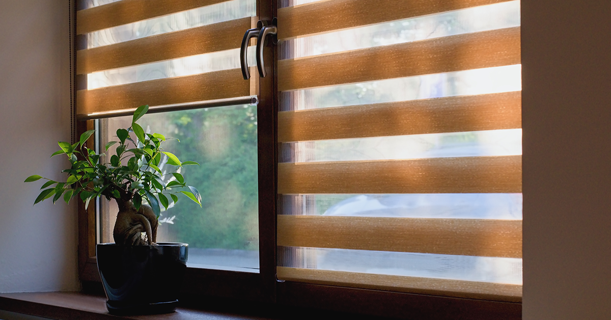 Embrace Natural Light in your Home