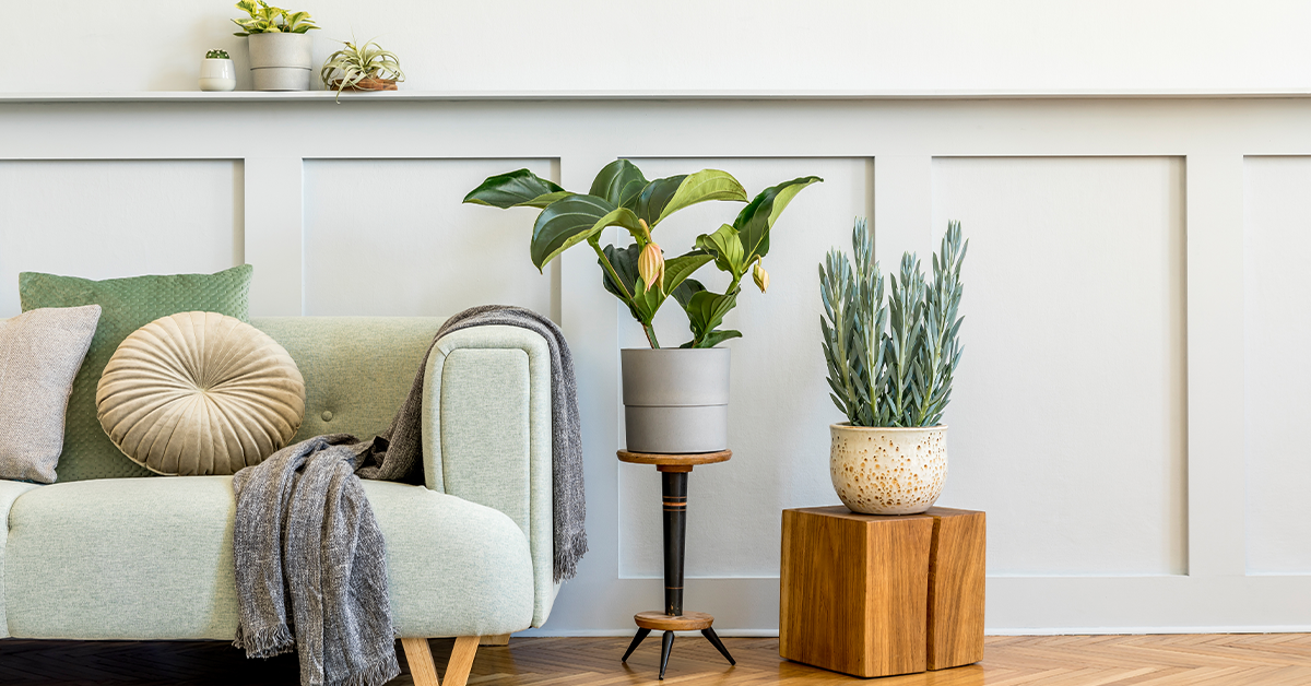 Incorporating indoor plants as décor