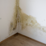 Rising Damp and Damp Proofing