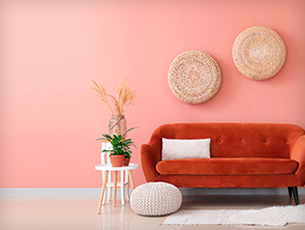 Light Pink Living Room For Women