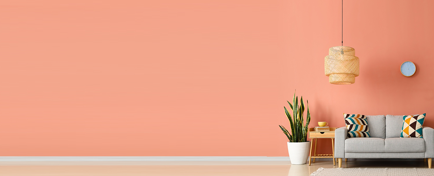 Coral Pink Wall Paint