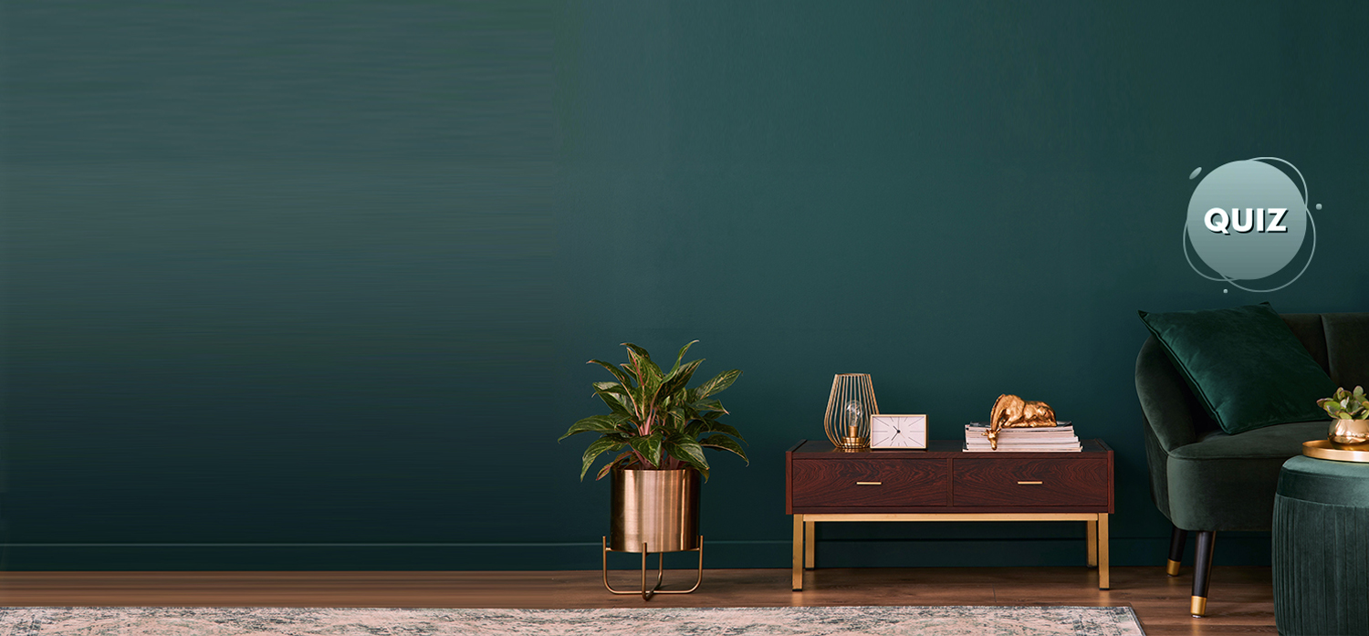 Planter And A Media Console In Front Of Dark Blue Wall