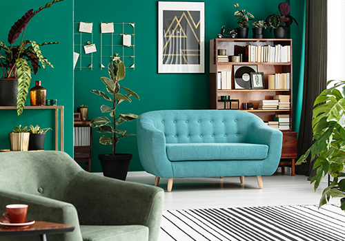 Sea Green Living Room With Plants