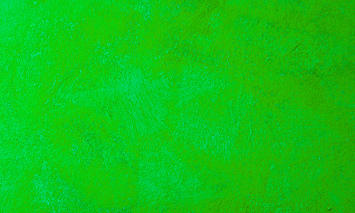green wall colour