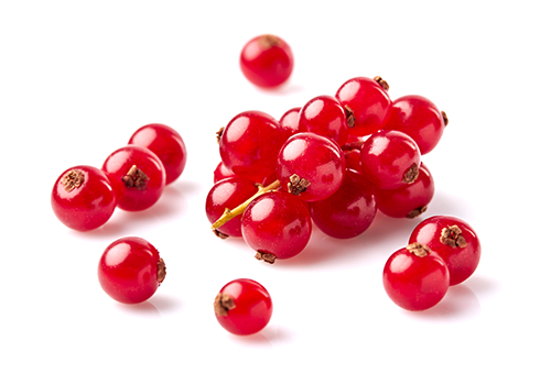 cherry image