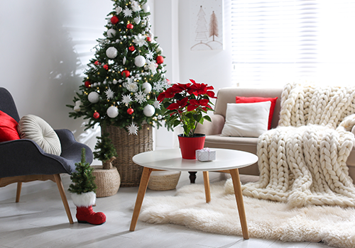 Living Room With  A Christmas Tree