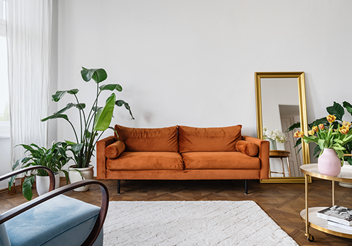 White Wall Accenting Indoor Plants And Brown Couch