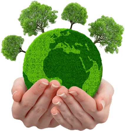 Green Initiative Pro Image