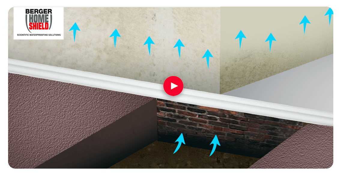 Rising Damp On Walls Treatment Video